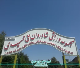 مجموعه ورزشی شادروان علی حمیدی